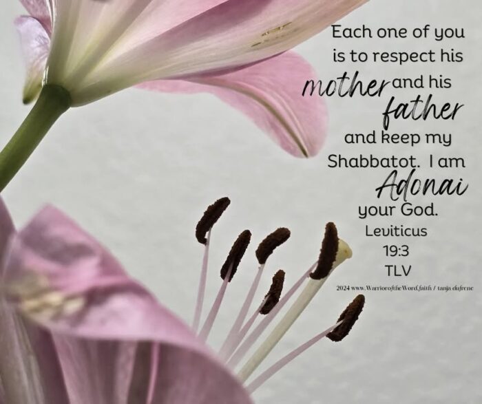 Each one of you is to respect his mother and his father and keep my Shabbatot.  I am ADONAI your God.
Leviticus 19:3 TLV

Mothers Day 2025