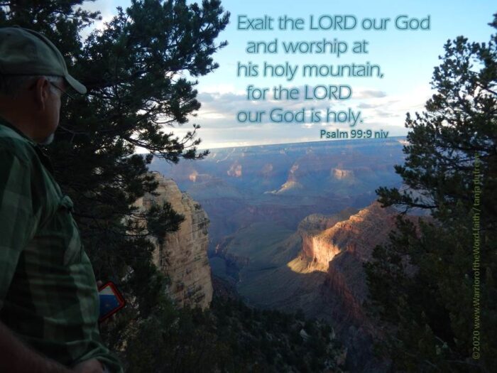 Exalt the LORD our God
  and worship at 
his holy mountain,
  for the LORD 
our God is holy.   
Psalm 99:9 niv

www.WarrioroftheWord.faith