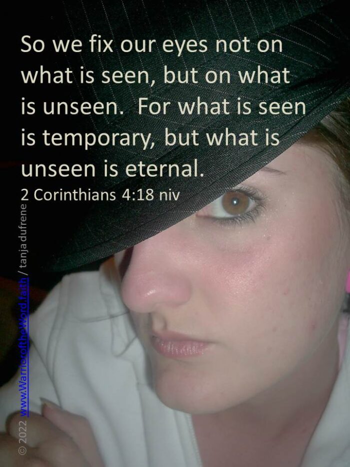 And answering him, Yeshua said, “What do you want Me to do for you?”
  The blind man said, “Rabboni, I want to see again!”  Mark 10:51 TLV

No explanation of how the man became blind is given.  But like him, we can lose our sight, our vision for life.  We can become distracted by life’s trials and tragedies or treasures and temptations.  Yet let us, like him, call out to Jesus to restore our vision that we might see as He would have us see.