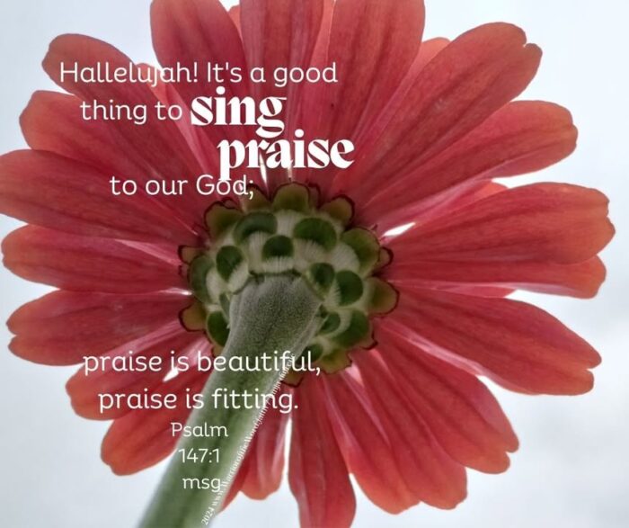 Hallelujah! Its a good thing to sing praise to our God; praise is beautiful, praise is fitting.  Psalm 147:1 msg